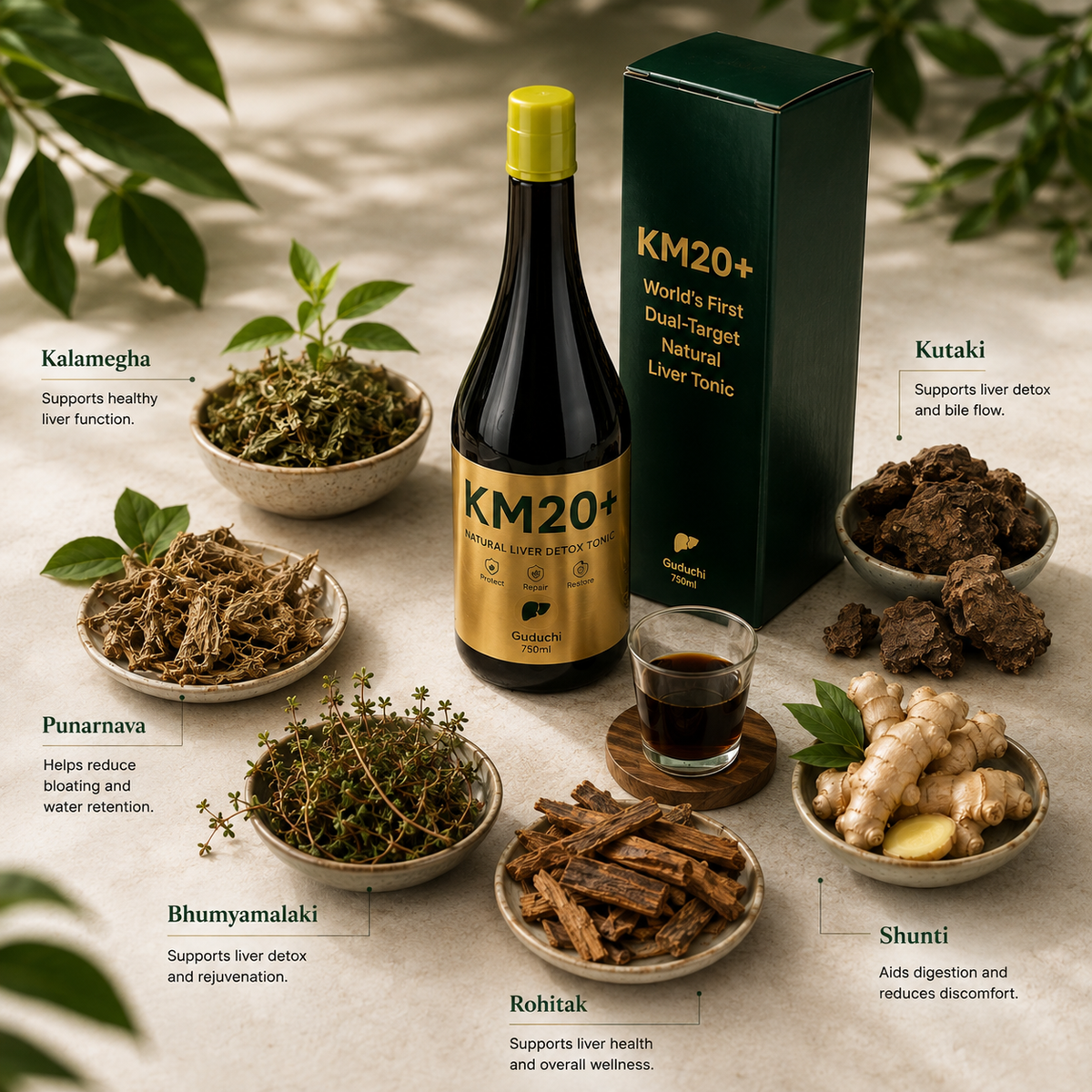 KM20+ Ayurvedic Wellness Blend | 20+ Herbs for Daily Liver Care